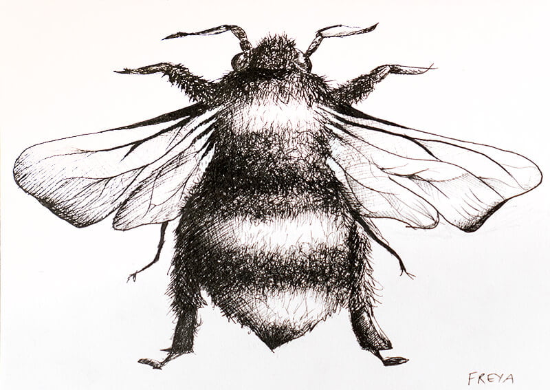 Original designs by Freya Gill 1