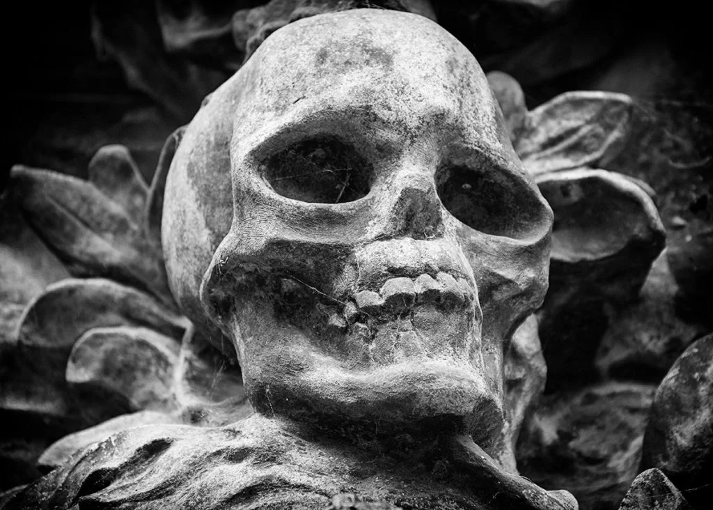 Photographs by Bridget Gill 64