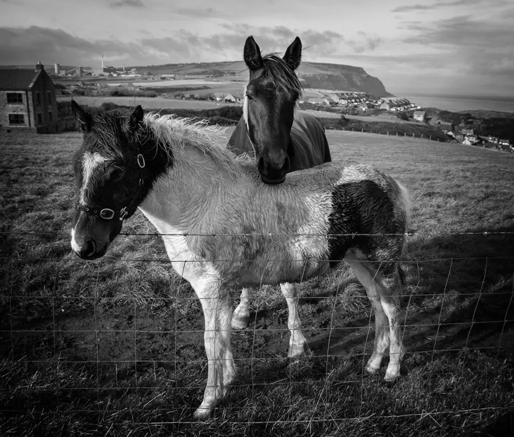 Photographs by Bridget Gill 62