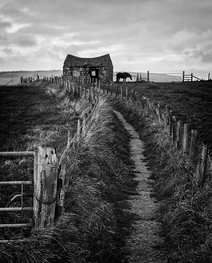 Photographs by Bridget Gill 61