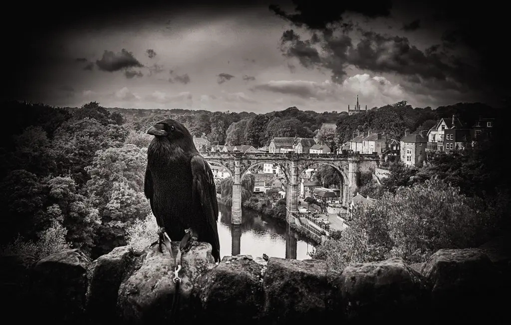 Photographs by Bridget Gill 66