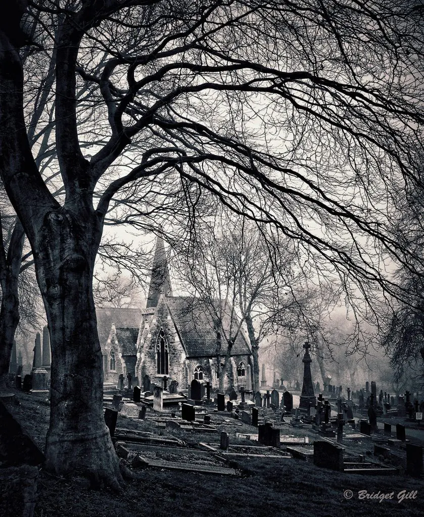 Photographs by Bridget Gill 55