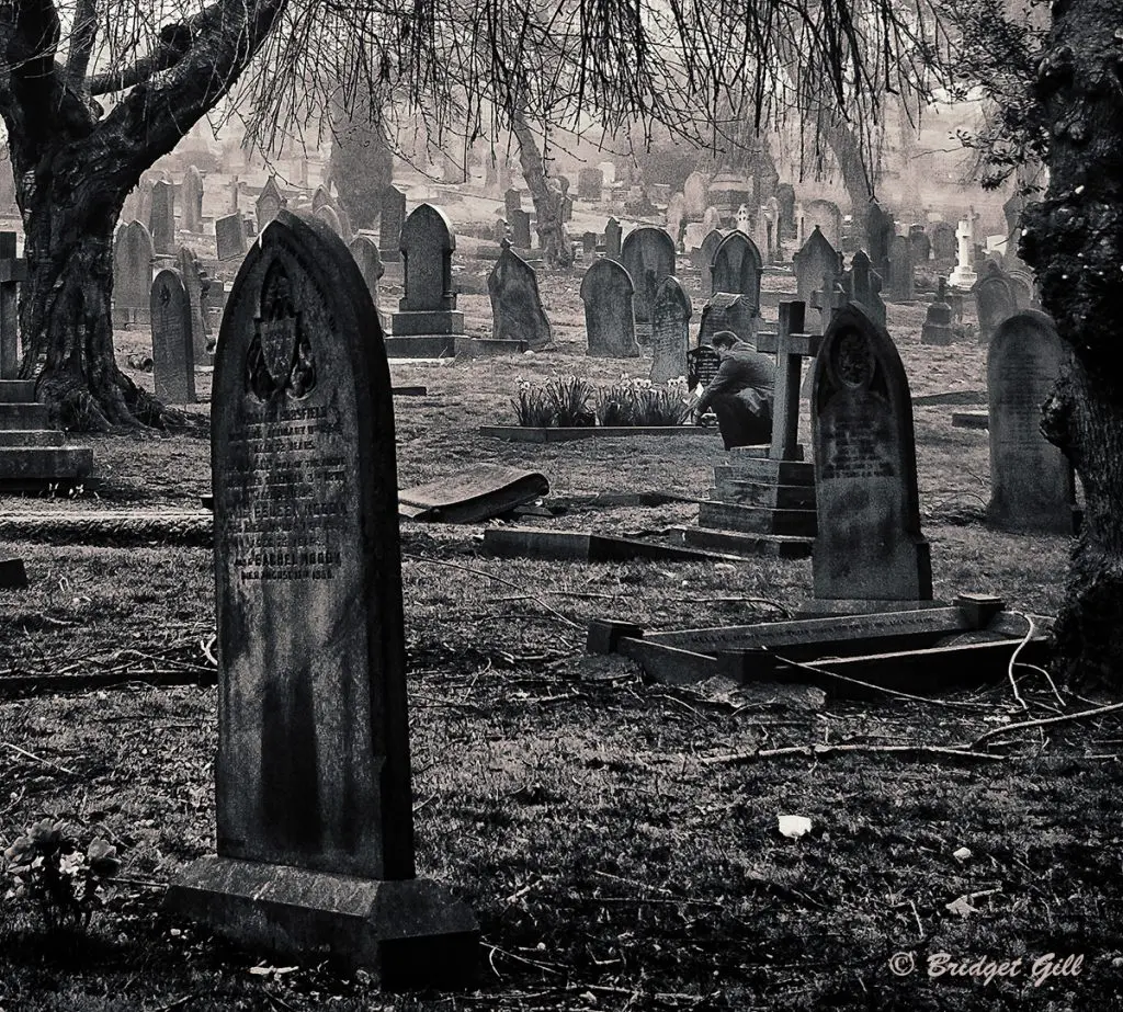 Photographs by Bridget Gill 53