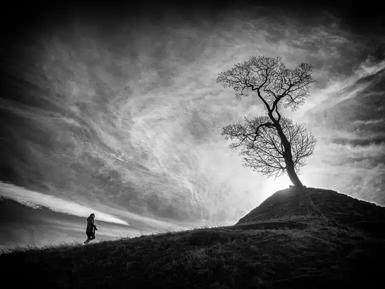 A black and white photo of a lone tree on a hill.