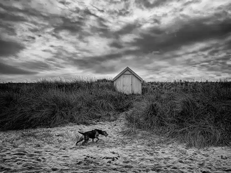 A black and white photo of a dog running on the beach.