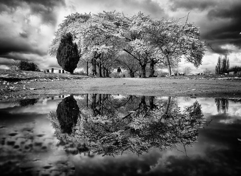 A black and white photo of trees reflected in a puddle.