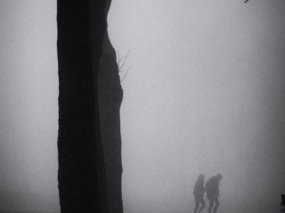 Two people walking in a foggy park.