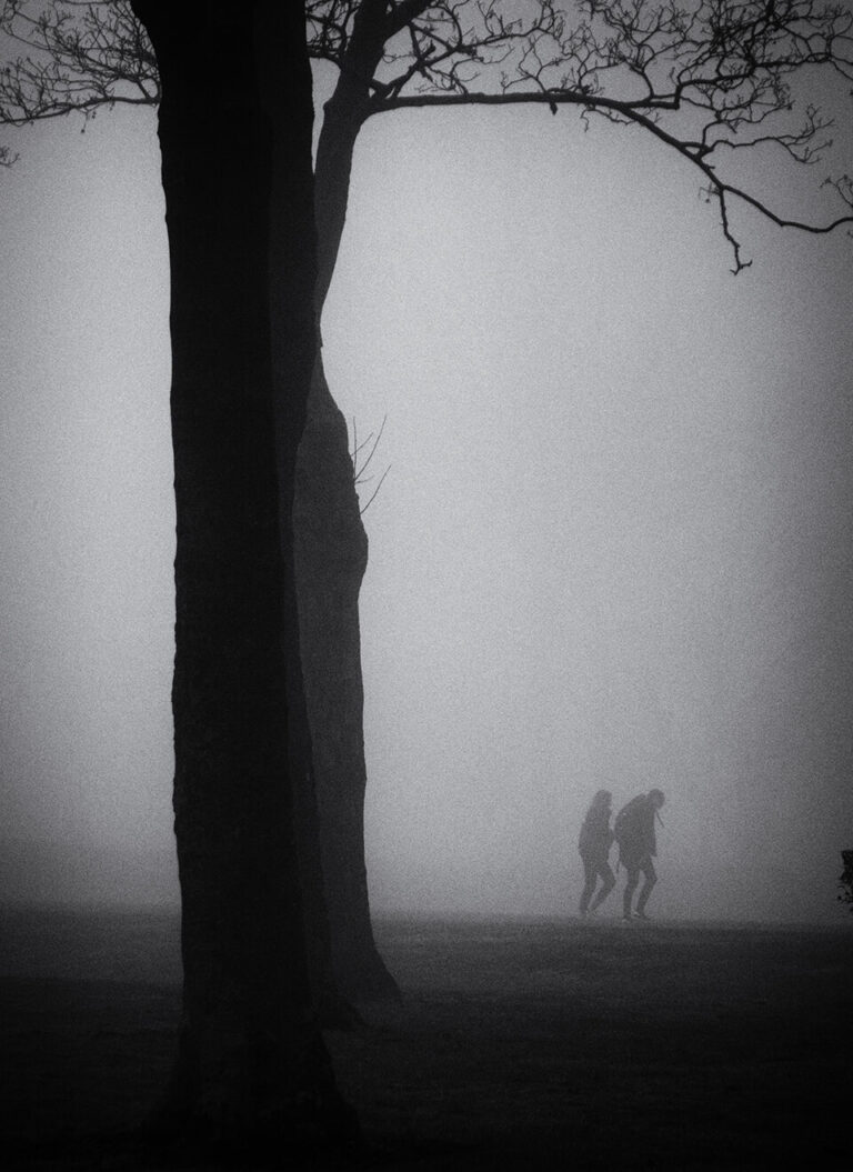 Two people walking in a foggy park.